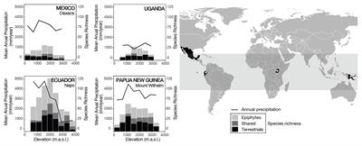 Functional Diversity in Ferns Is Driven by Species Richness Rather Than by Environmental Constraints